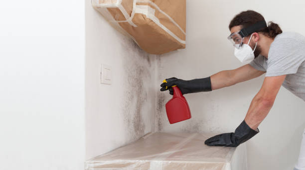 Professional Attic Mold Removal technician working in Port Jefferson Station, NY