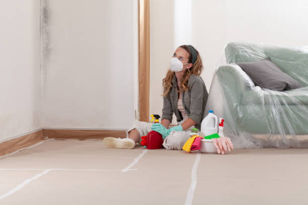 Reliable Basement Mold Removal contractor in Port Jefferson Station, NY by Cheap Mold Removal